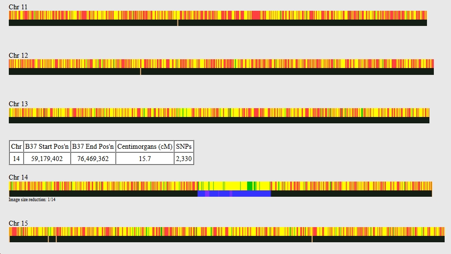 Screen grab from GEDmatch showing part of a One to One comparison in the chromosome browser 