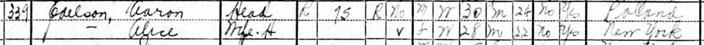 Extract from 1930 US Census showing Aaron Edelson and his wife Alice.  Aaron is shown with a birthplace of Poland.  Alice's birthplace is given as New York.